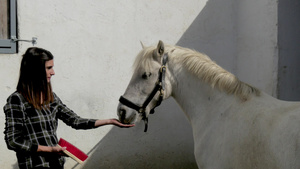 年轻女骑手给白马喂食25秒视频