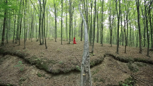 美丽的女人在森林中行走视频