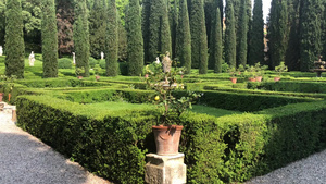 维罗纳的吉乌斯提花园13秒视频