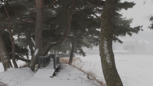 公共公园中吹风雪视频