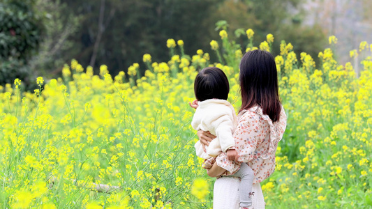 母亲抱着孩子赏花看风景背影视频