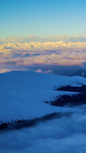 冬季新疆夏尔希里自然保护区大山日出云海延时大山云海15秒视频