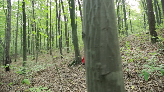 童话女孩在森林中行走视频