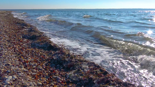 水冲洗岸边快速流动海岸上有贝壳视频