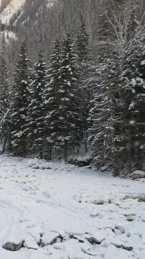 雪景山谷岩石小溪流30秒视频