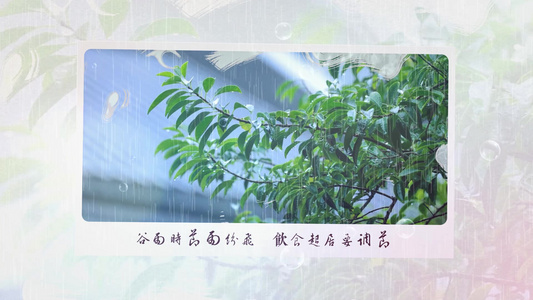 二十四节气谷雨图文宣传展示AE模板视频