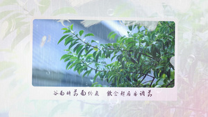 二十四节气谷雨图文宣传展示AE模板58秒视频