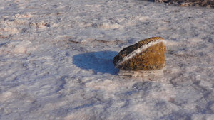 盐湖盐晶体自沉盐覆盖石头干燥湖泊14秒视频
