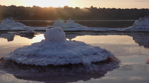 盐湖木原木上的自沉盐干燥湖泊中的高盐度水19秒视频