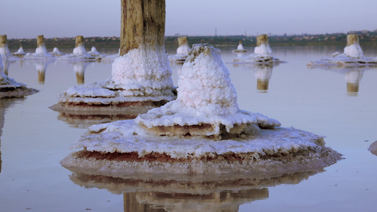 盐湖木原木上的自沉盐干燥湖泊中的高盐度水一个环境问题视频