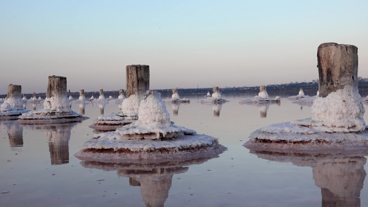 盐湖木原木上的自沉盐干燥湖泊中的高盐度水一个环境问题视频