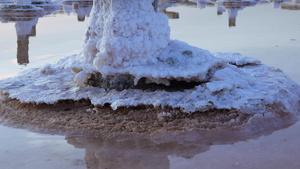 盐湖木原木上的自沉盐干燥湖泊中的高盐度水22秒视频