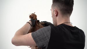 发型师理发师为红头发时髦年轻人做造型19秒视频