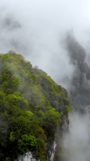 大山深处自然风光70秒视频