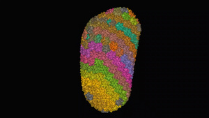 3D表面模型动画外表模型的hiv-1 capsid结构21秒视频