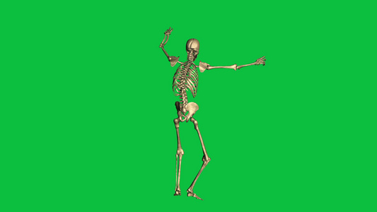 3D骨架投降动画绿幕视频