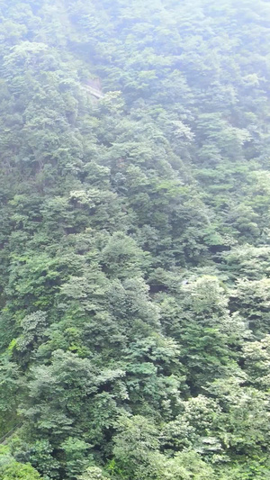 5A风景区江西明月山云谷飞瀑瀑布奔腾航拍合集江西旅游49秒视频