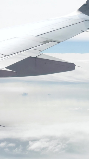 飞机穿越云层实拍国际民航日20秒视频