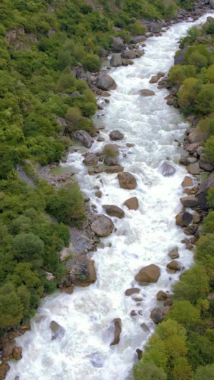 航拍森林小溪河流河谷水流水资源25秒视频