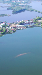 航拍武汉东湖绿道和湖心岛视频