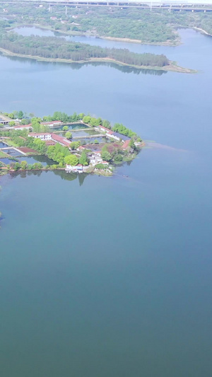 航拍武汉东湖绿道和湖心岛30秒视频