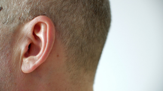 白毛人寺庙和左耳左侧视线人类听力器官人体身体解剖视频