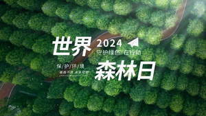 世界森林日文字宣传片头AE模板16秒视频