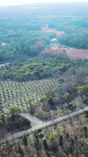 上海海湾国家森林公园现代化28秒视频