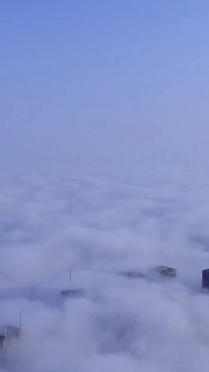 上海陆家嘴三件套穿云航拍CBD14秒视频