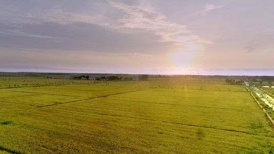 夕阳下的农田全景4k航拍视频