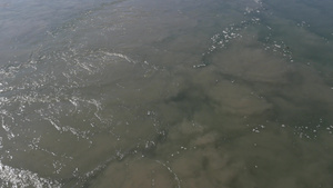 肮脏的水流危险的漩涡排放污水泥流作为环境污染和全球19秒视频