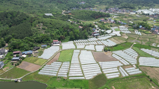 农业大棚种植蔬菜农田航拍 视频