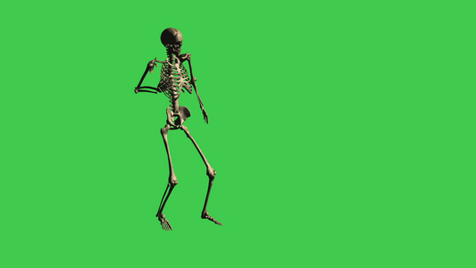 3D骨骼行走受伤动画 - 在绿屏上分开视频