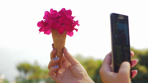 女性用手机拍摄花朵12秒视频