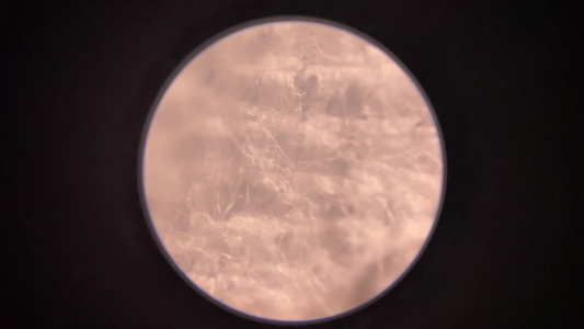 微观放大镜显微镜纸巾纤维视频