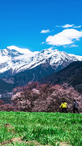 索松村桃花南迦巴瓦峰雪山延时西藏农业视频