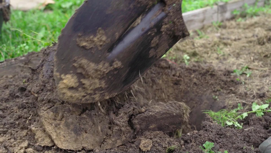 用铲子挖床土然后在冬季慢动之前用铁铲视频