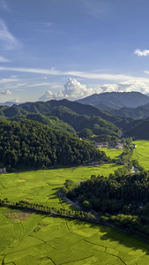 高清竖屏航拍湖南衡山嵩山风光合集视频