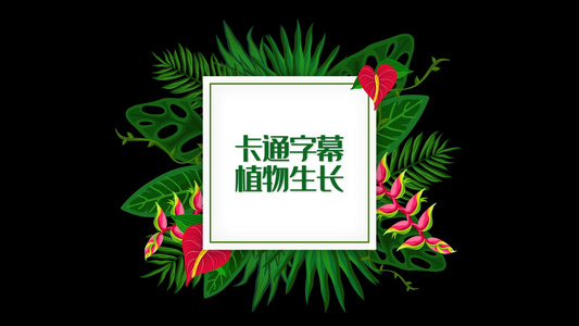 卡通植物生长字幕视频素材视频