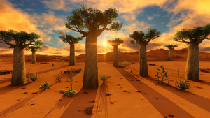 日落时非洲风景中的树24秒视频