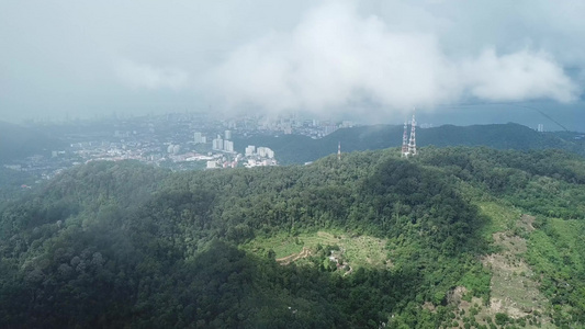 在雾雾的天空下飞离种植园视频