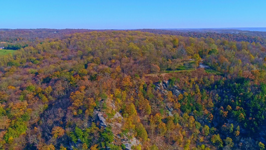 沿一条主要河流的秋树颜色空中观察视频