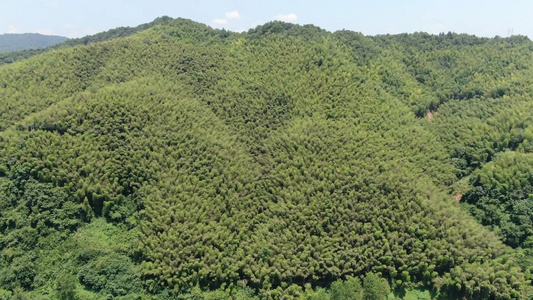 航拍高山森林自然风光视频