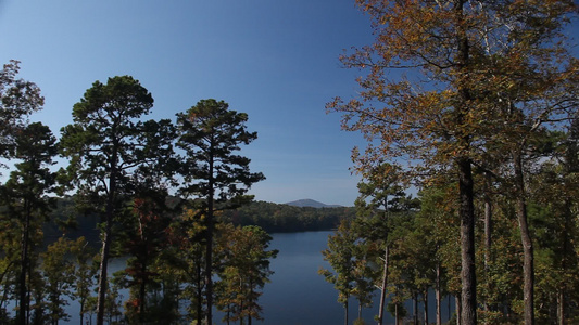 Arkansas的自然场景视频