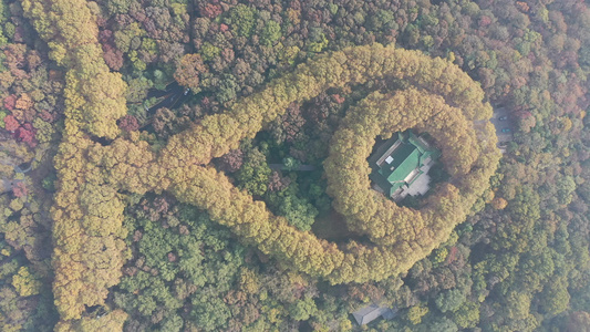 航拍中国江苏南京钟山风景名胜区美龄宫深秋美景视频