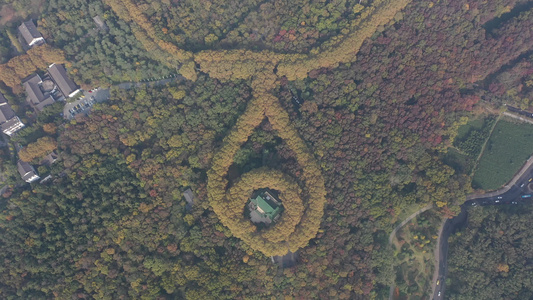 航拍中国江苏南京钟山风景名胜区美龄宫深秋美景视频