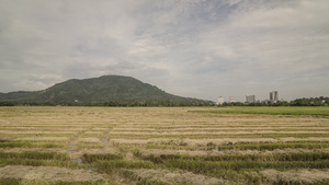 大米田形成的通往山峰的路延时14秒视频