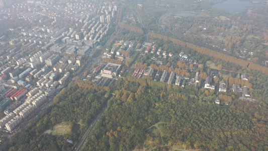 航拍中国江苏南京钟山风景名胜区美龄宫深秋美景视频