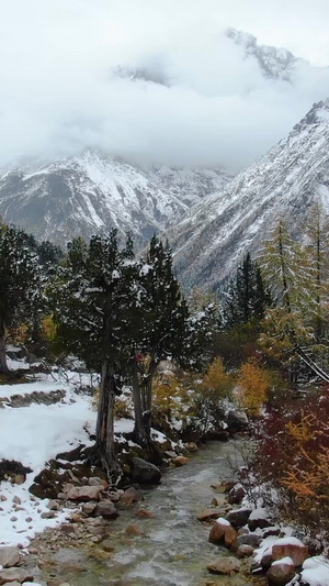 毕棚沟景点燕子岩雪景风光航拍视频旅游景区60秒视频