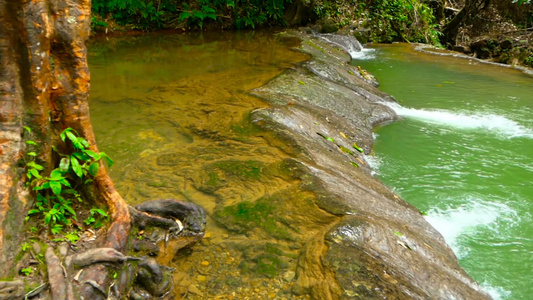 热带雨林地貌的奇特雨林中的明亮彩色天然池视频